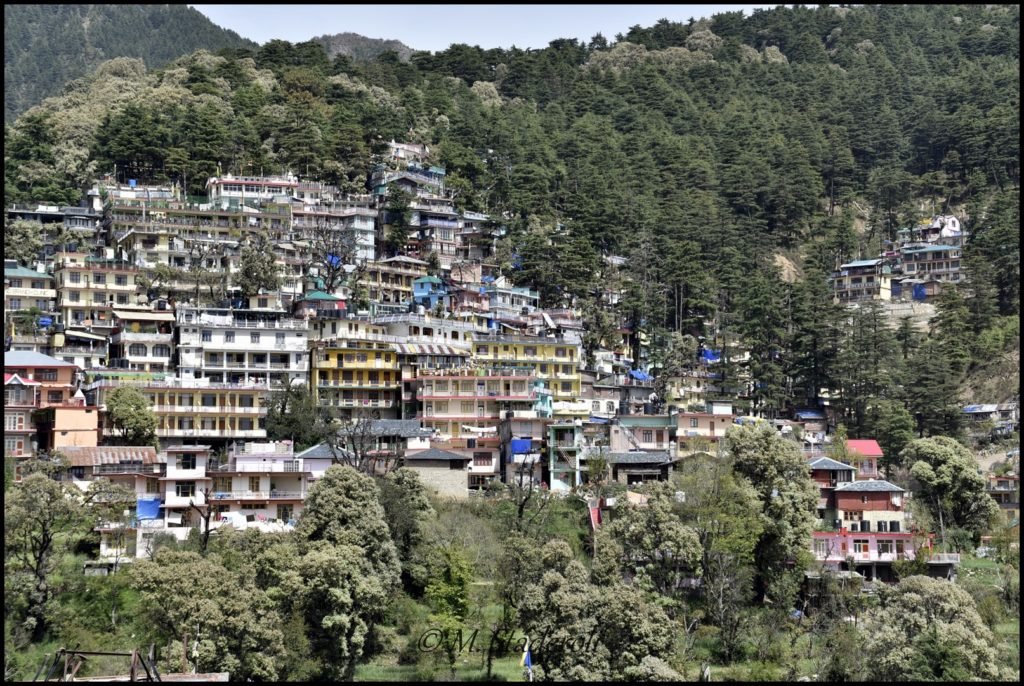 _DSC2663 [1600x1200]