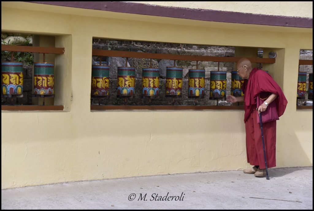 _DSC2700 [1600x1200]