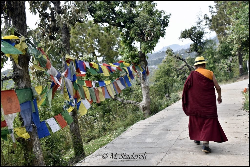 _DSC2710 [1600x1200]