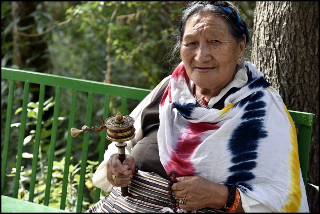 _DSC2718 [1600x1200]