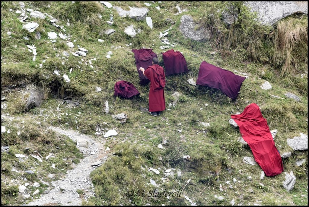 _DSC2777 [1600x1200]