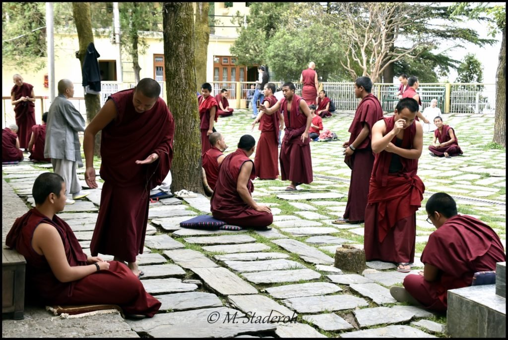 _DSC2807 [1600x1200]