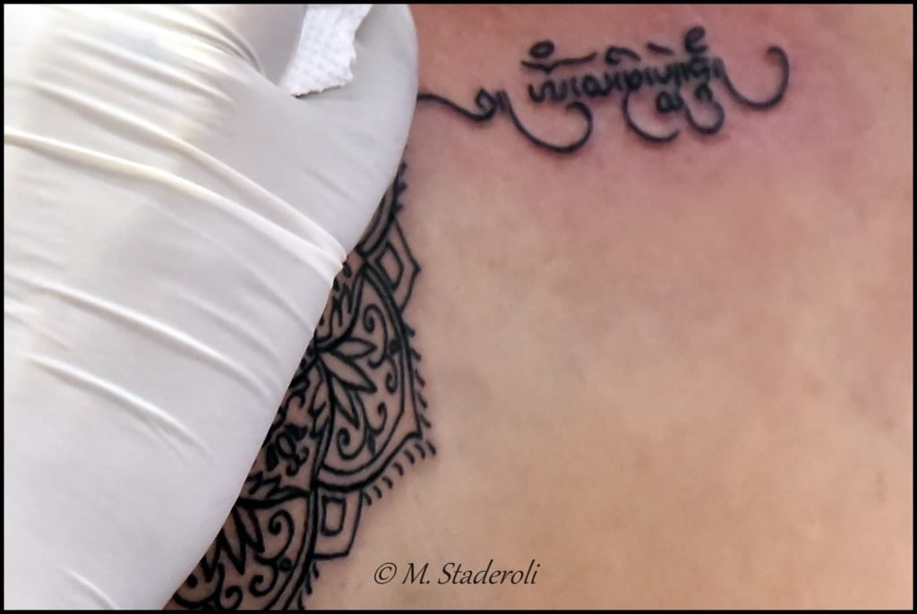 _DSC2904' [1600x1200]