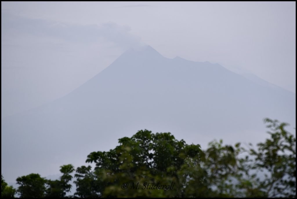 _DSC4269 [1600x1200]