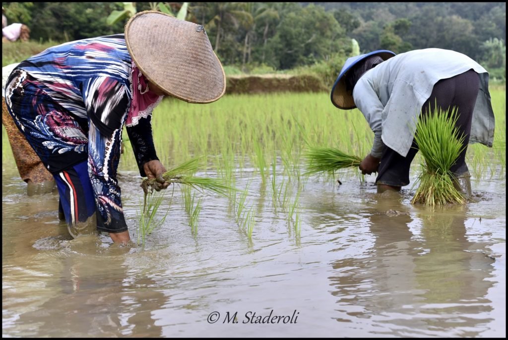 _DSC4290 [1600x1200]