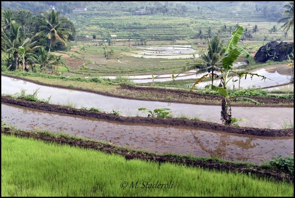 _DSC4303 [1600x1200]