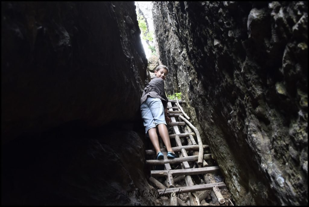 _DSC4308 [1600x1200]