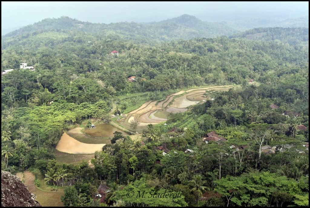 _DSC4309 [1600x1200]