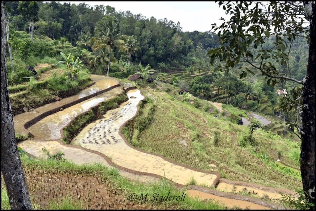 _DSC4318 [1600x1200]